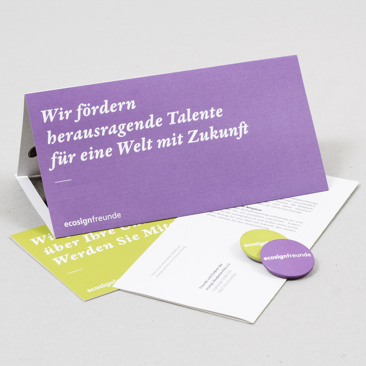 ecosignfreunde – Flyer