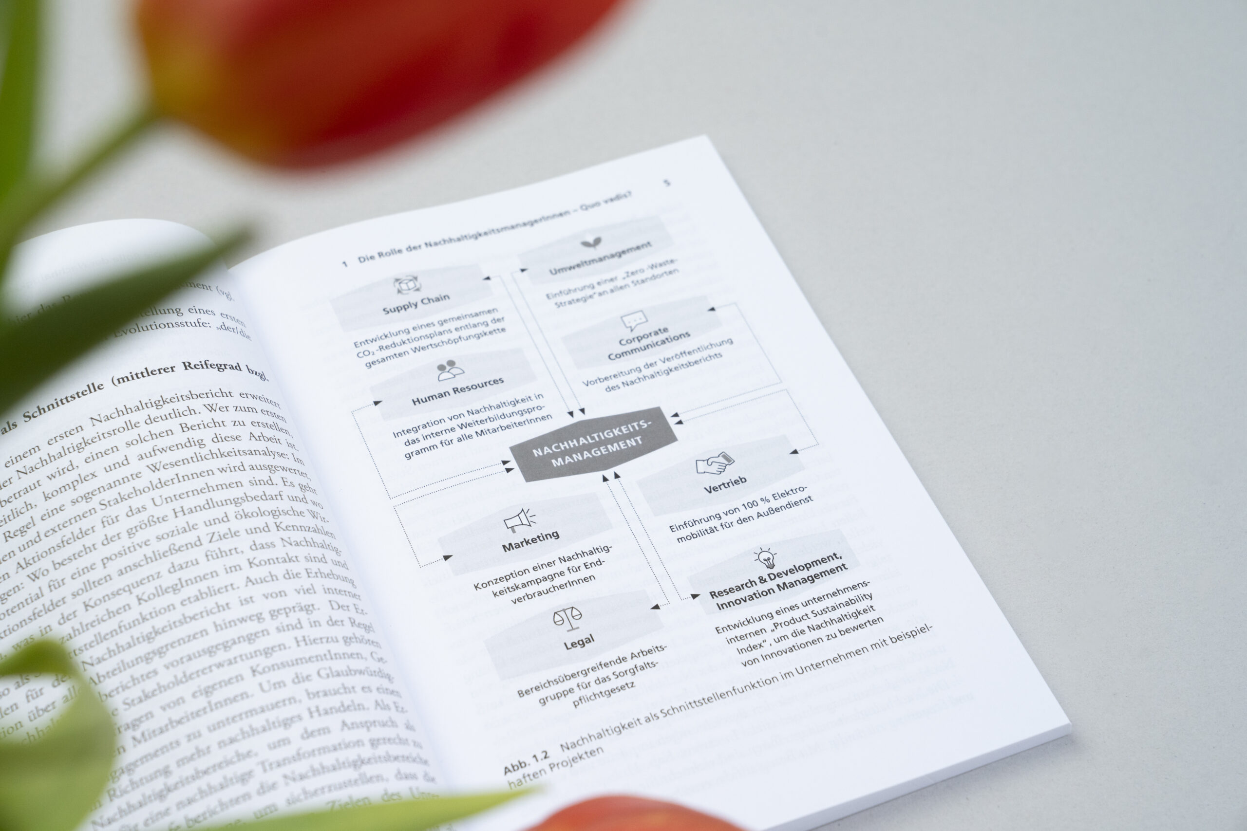 Infografik im Buch Nachhaltige Karriere – mit dem richtigen Job die Welt verändern