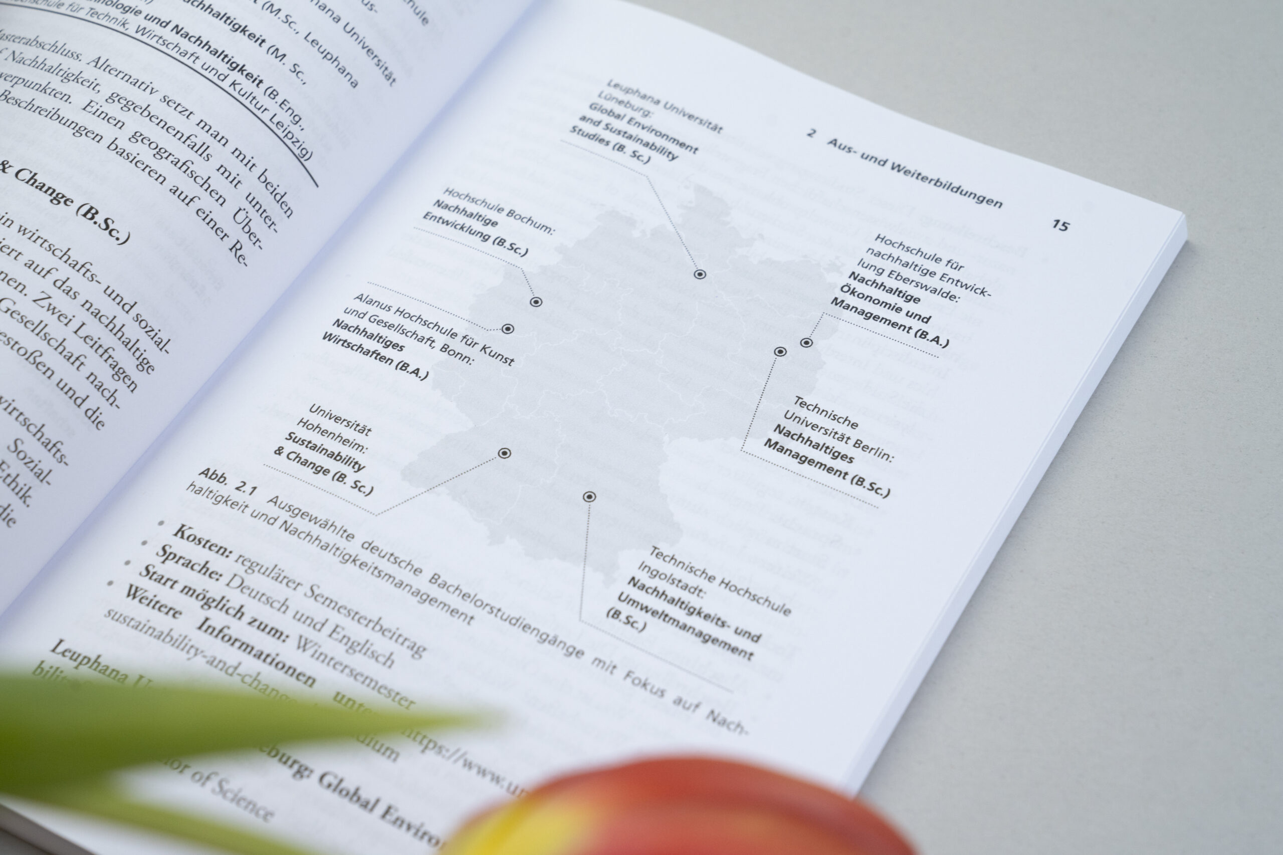 Infografiken im Buch Nachhaltige Karriere – mit dem richtigen Job die Welt verändern